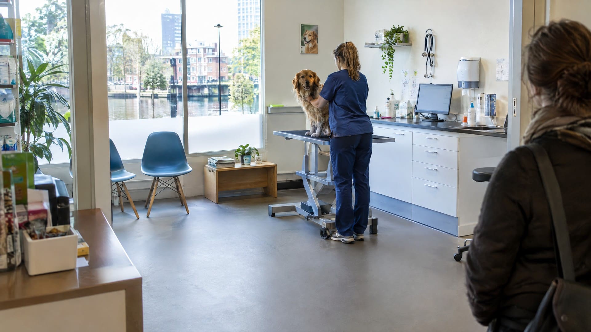 Dierenarts met een golden retriever op de behandeltafel in een lichte praktijkruimte aan het water