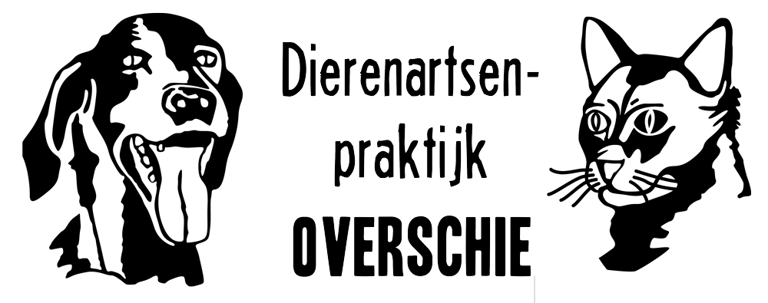 Logo van Dierenartsenpraktijk Overschie met een getekende hond en kat
